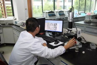 義烏開展襯衫生產(chǎn)企業(yè)質(zhì)量分析測試專項(xiàng)活動(dòng)，技術(shù)服務(wù)助力產(chǎn)業(yè)升級